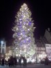 20strasbourg-20noel-20sapin-2269945f0c.jpg